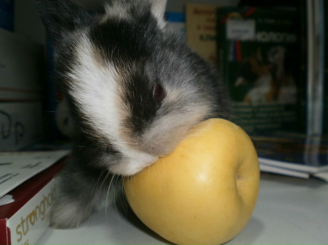 Вера Лыскина | Таганрог