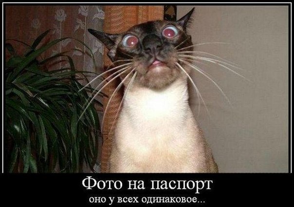 Маша Петрова | Санкт-Петербург