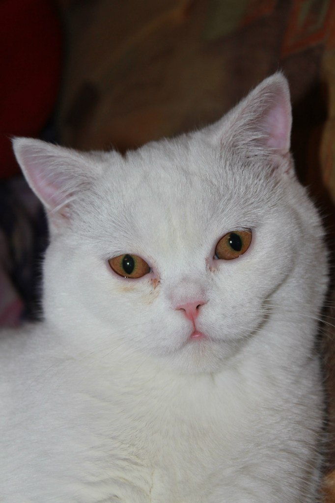 Надежда Амиртаева | Владивосток