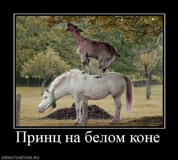 Виталий Малых | Санкт-Петербург