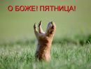 №34 Татьяна Гадяцкая (Карлссон) 21.01: профиль, фото, статус - ВКонтакте №34 Татьяна Гадяцкая (Карлссон) 21.01: профиль, фото, статус - ВКонтакте