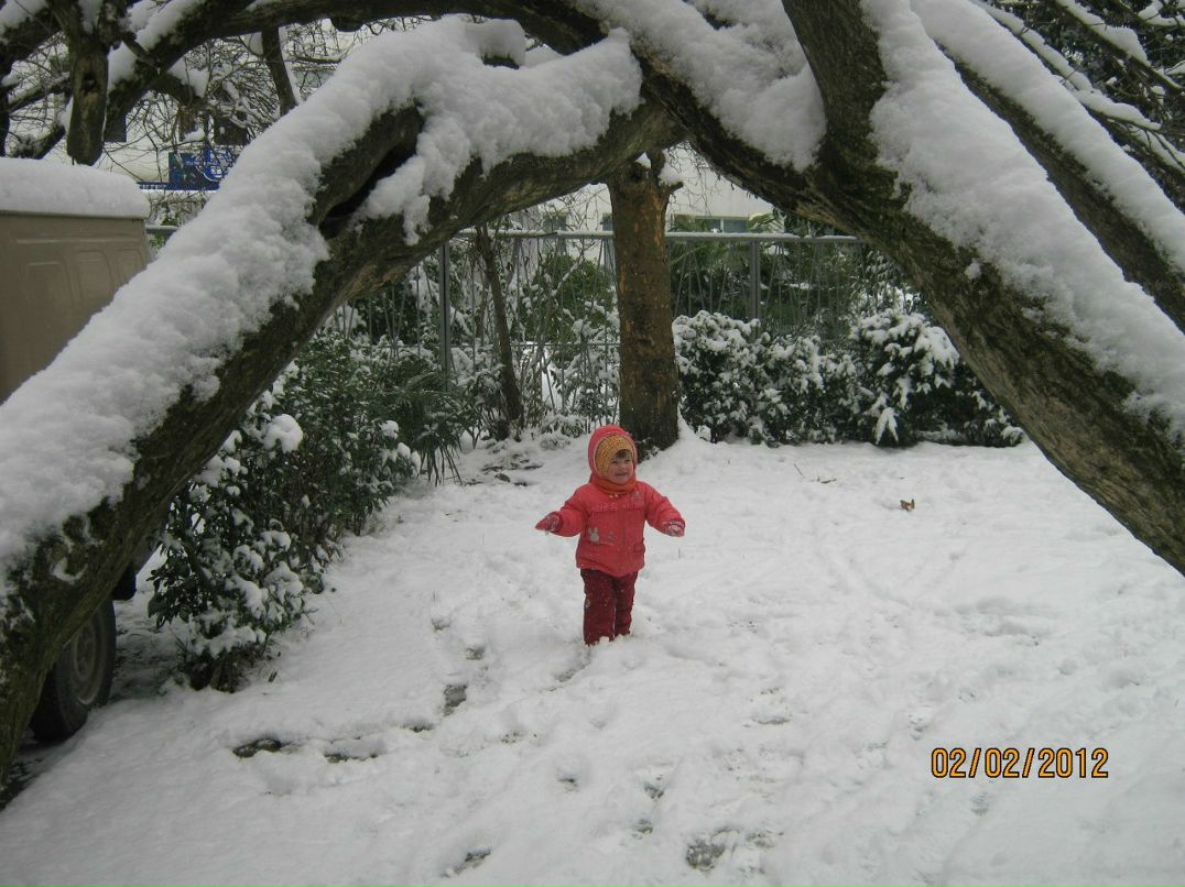 Никита Карачёв Никитос | Сочи