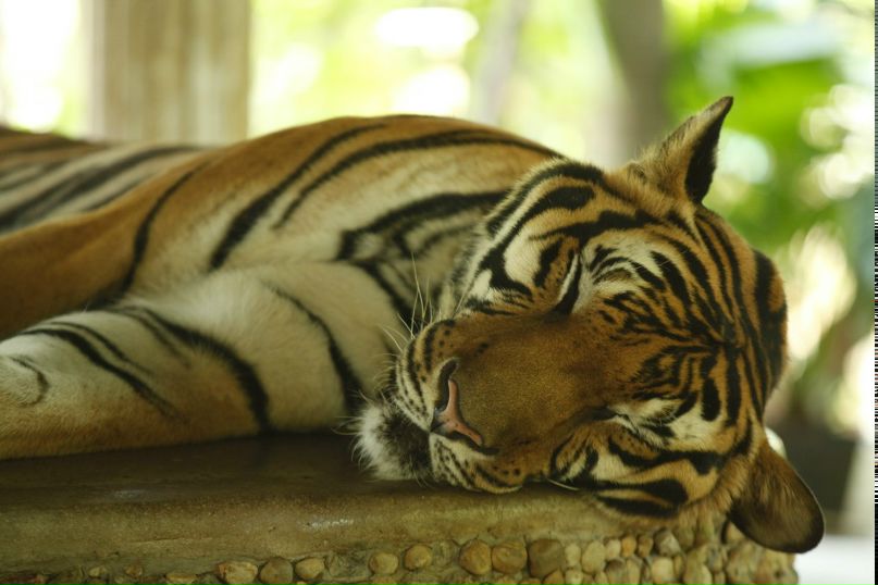 Arlen Sahakian | Beirut