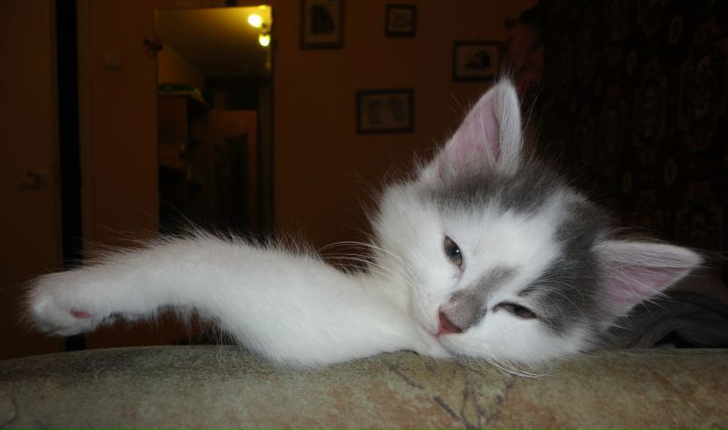 Наталья Ермилова | Санкт-Петербург