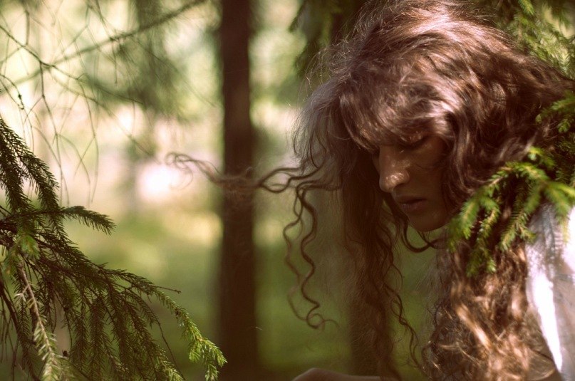 Инопланетная Скотина | Москва