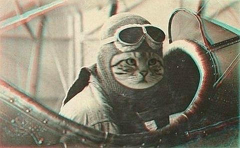 Антон Егоров | Москва