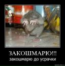 Фотография Евгения Нарцева