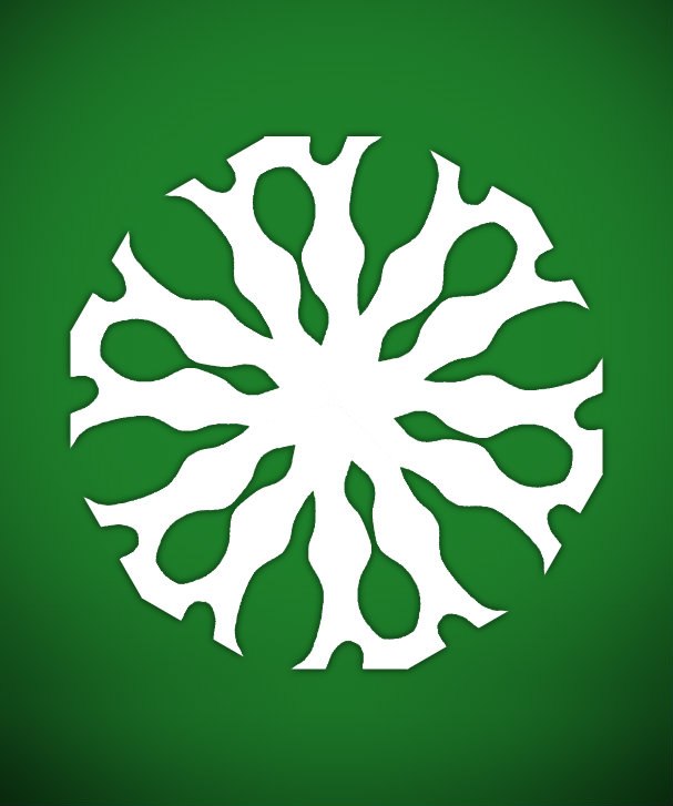 Никита Антонов | Новосибирск