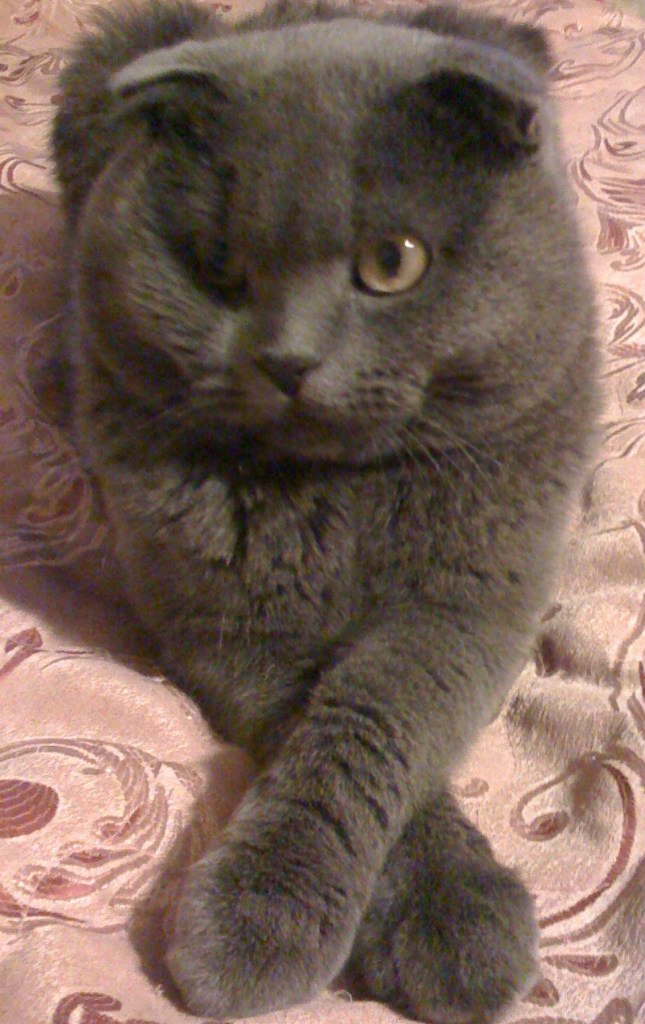 Екатерина Inghyungtou | Москва