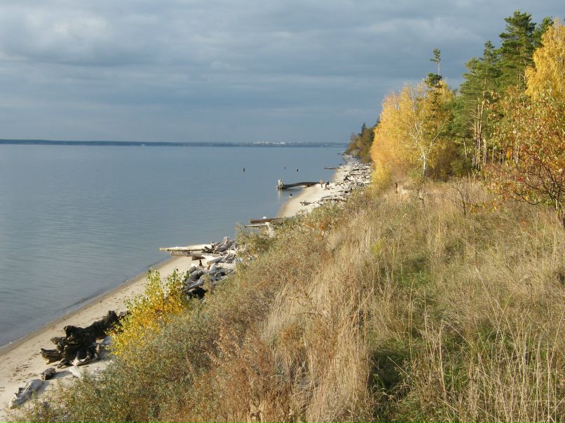 Дима Краснощёков | 