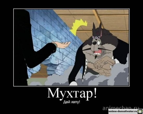 №50, Александр Анимешник, Луганск №50, Александр Анимешник, Луганск