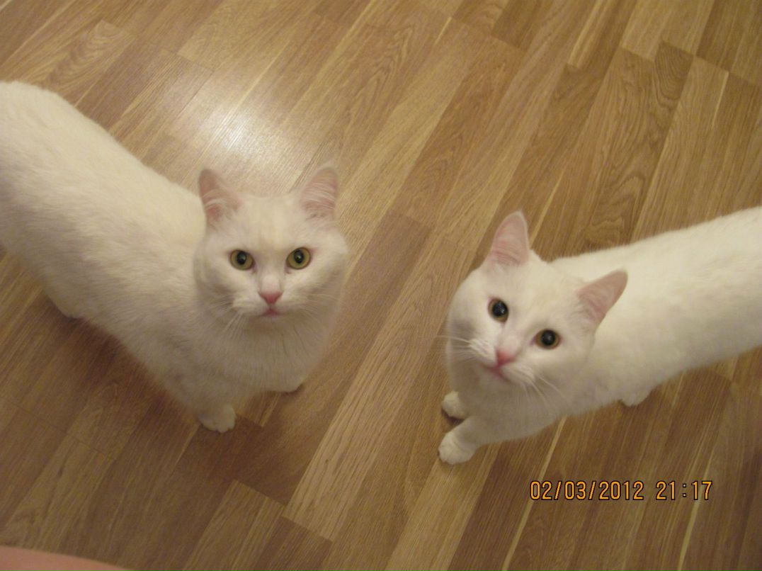 Наталья Щербакова | Озерск