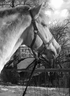 Caterina Kostina | Санкт-Петербург
