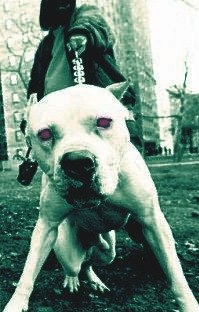 Юра Сабанский | Киев