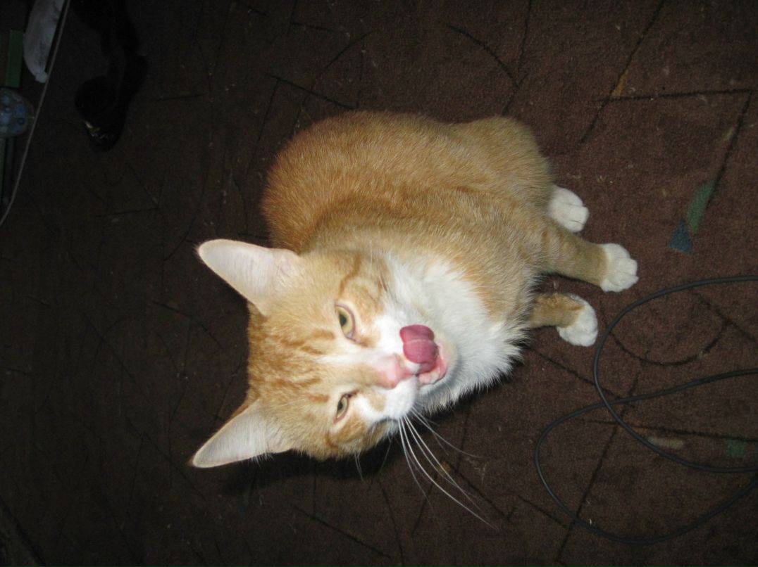 Наталья Дюльгер | Котлас