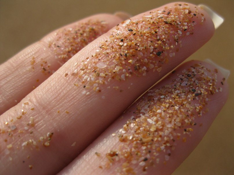 Рина Шилова Кошка | Санкт-Петербург