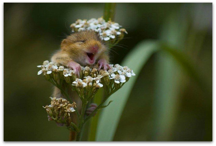 Наташа Геращенко | Киев