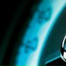 Jemes Bond «Never Say Never Again» | Сочи