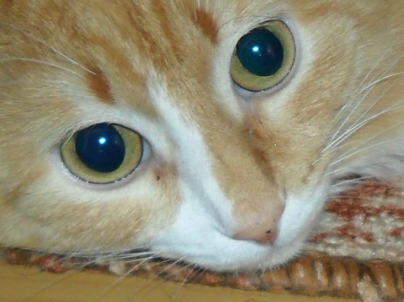 Ольга Пятугина | Павлово