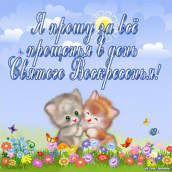 Открытка с извинениями дочери, именинами