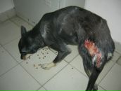 №3 Фея Захочу 26.05: профиль, фото, статус - ВКонтакте №3 Фея Захочу 26.05: профиль, фото, статус - ВКонтакте