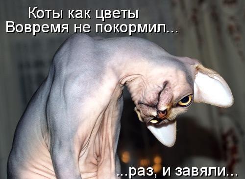 №75, Honoo Dharmapala, 40 лет, Москва №75, Honoo Dharmapala, 40 лет, Москва