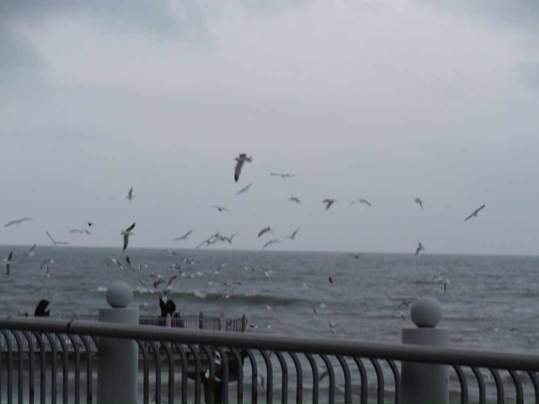 Александр Матюшев | Калининград