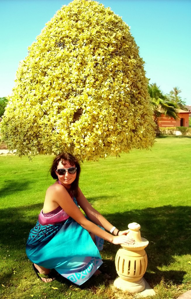 Олик Попова | 