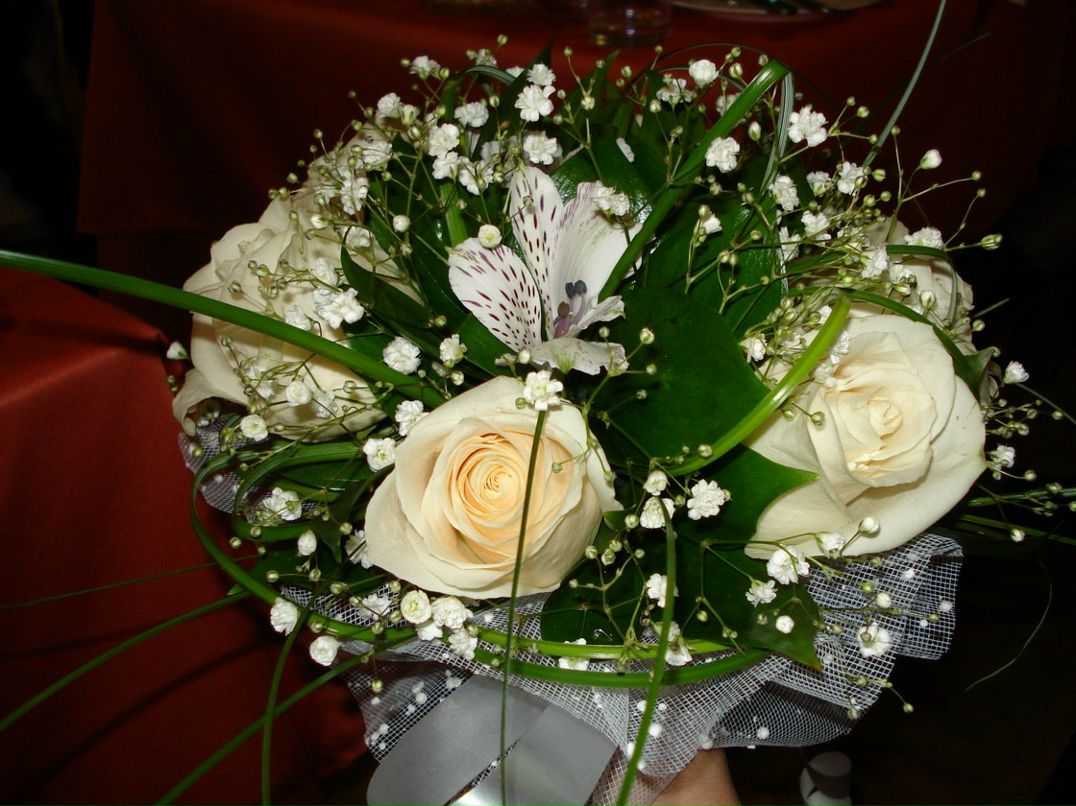 Елена Кадиева | Миллерово