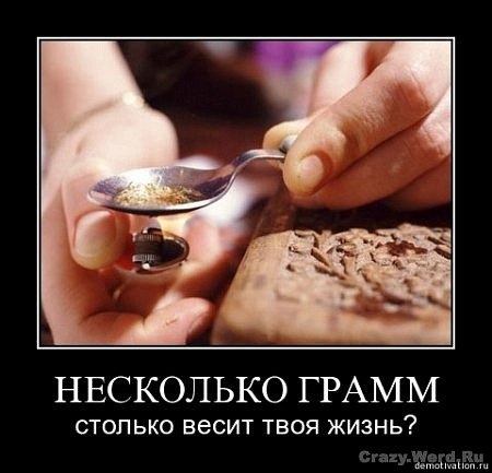 Елизавета Моисеенко | Химки