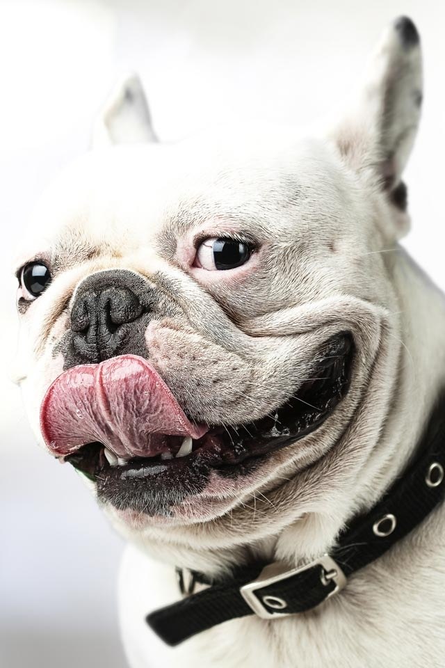 Артур Вольф ϟϟ (•̪●) ϟϟ | Киев