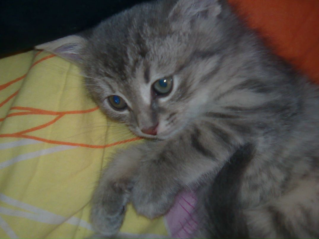 Наталья Осипова | Санкт-Петербург