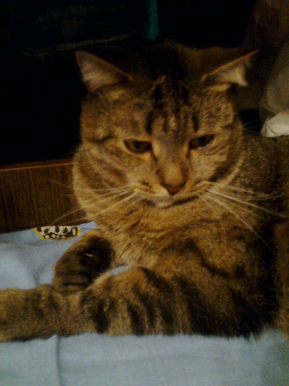 Лелька Яковлева | Москва