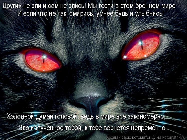 Андрей Данькевич | Киев