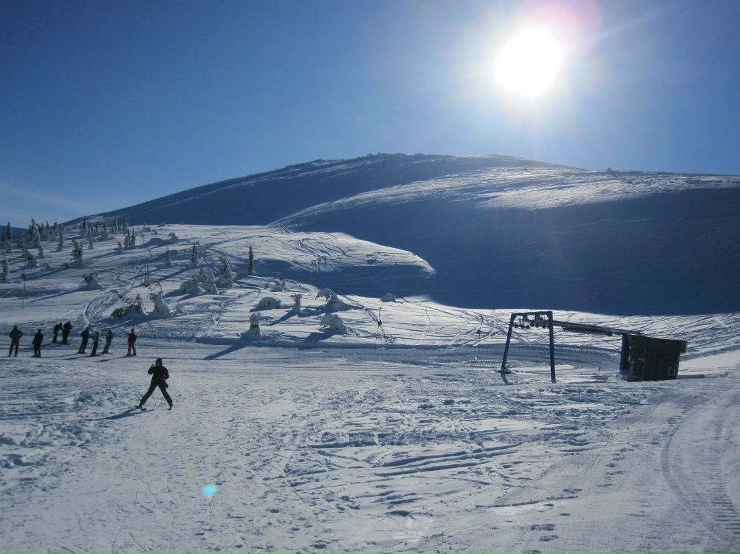 Андрей Молодий | Запорожье