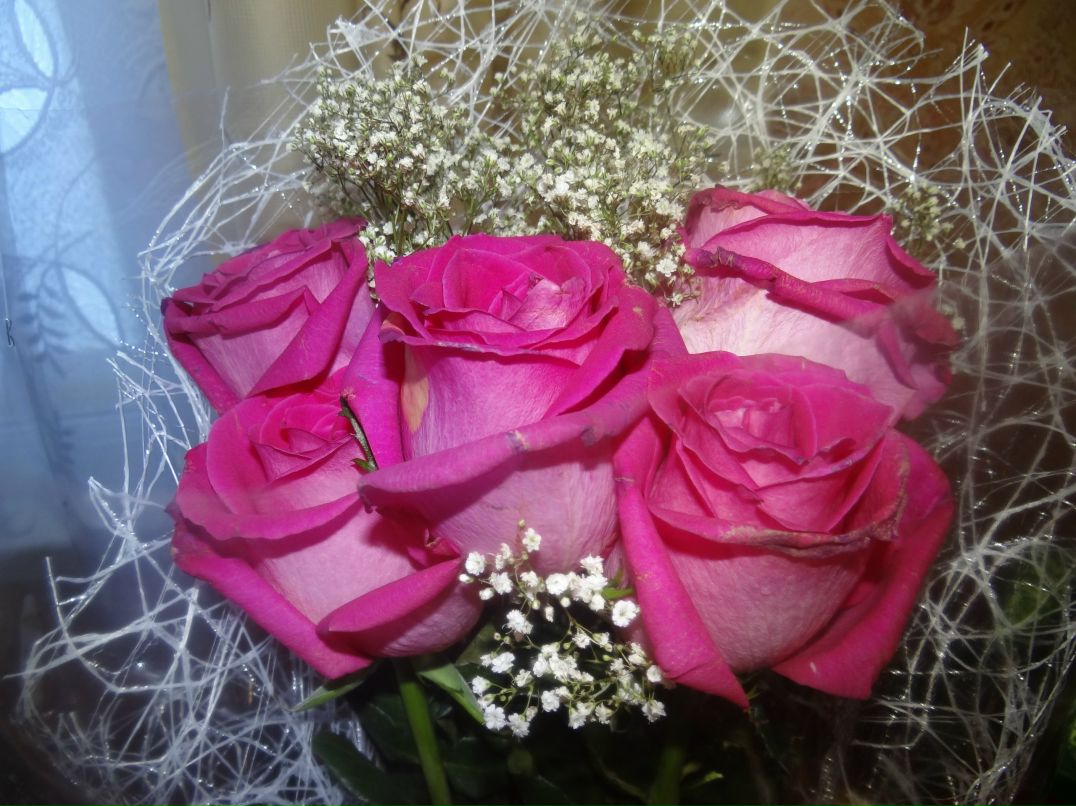 Ирина Ильинова | Череповец