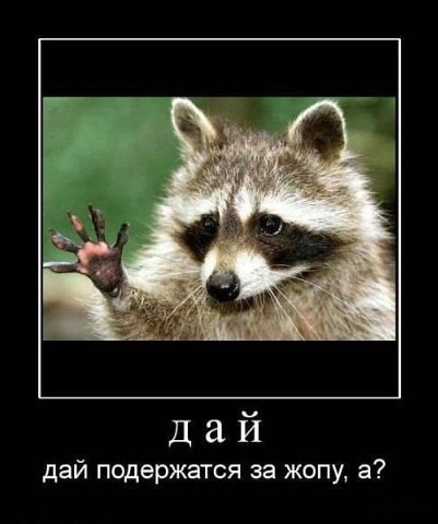 Andrew Simmons 武士 | Мурманск