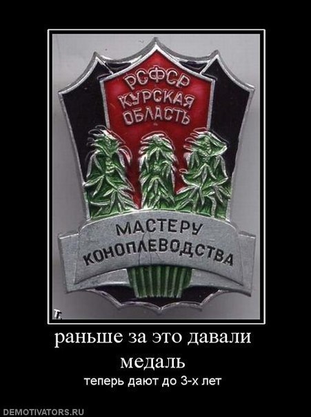 Дмитрий Свяжин | Мелеуз