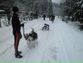 №24 Светлана Ларионова 04.04: профиль, фото, статус - ВКонтакте