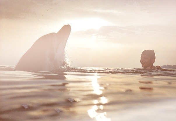 Jaroslav Molotov | Санкт-Петербург