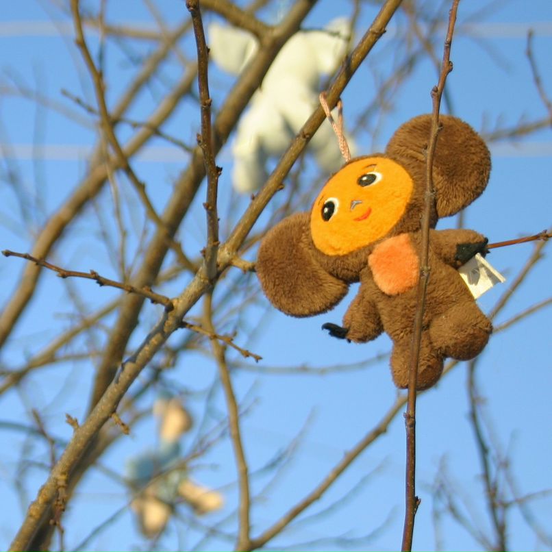 Наташа Михайличенко | Новинки (деревня)