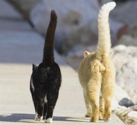 №193, Михаил Матвеев №193, Михаил Матвеев