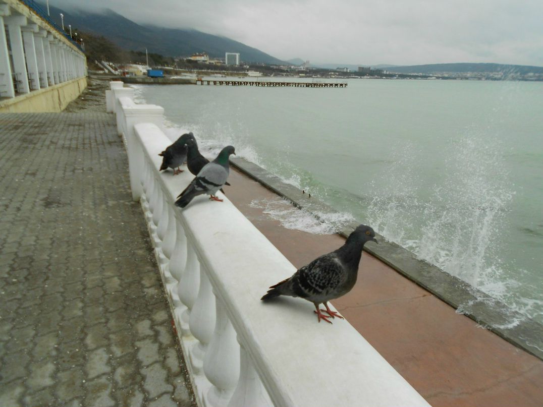 Юля Анищенко | Минск