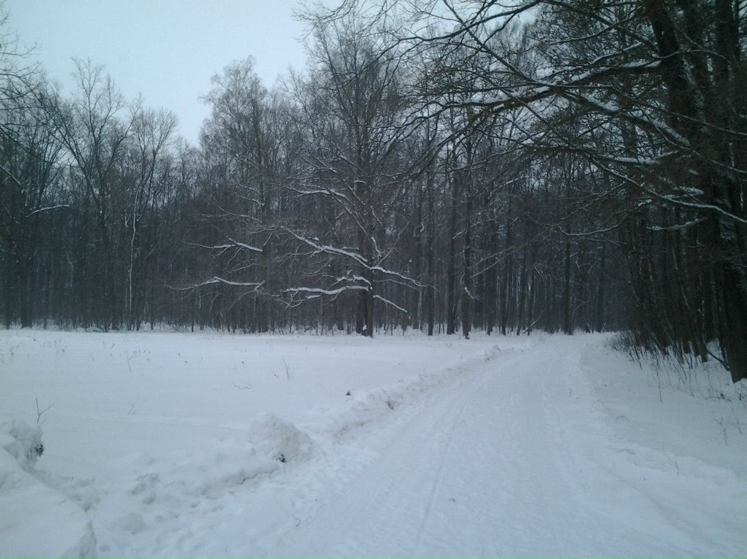 Андрей Тарасов | Ясная Поляна