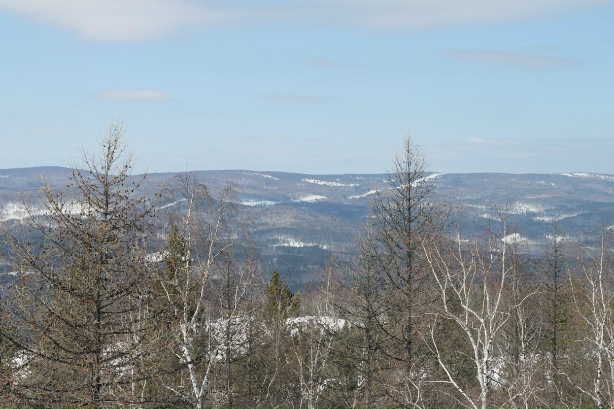 Артем Сутягин | Самара