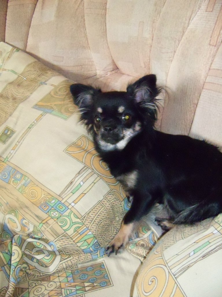 Люда Селина | Харьков