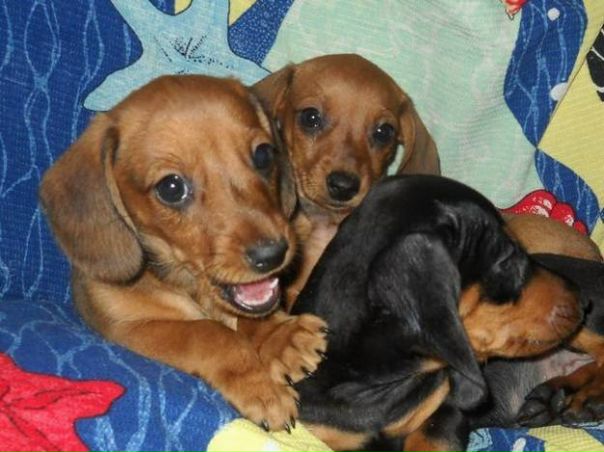 №2, Полина Жукова №2, Полина Жукова