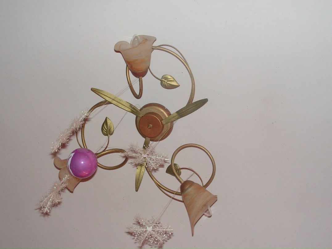 Даша Трошкова | Великий Новгород