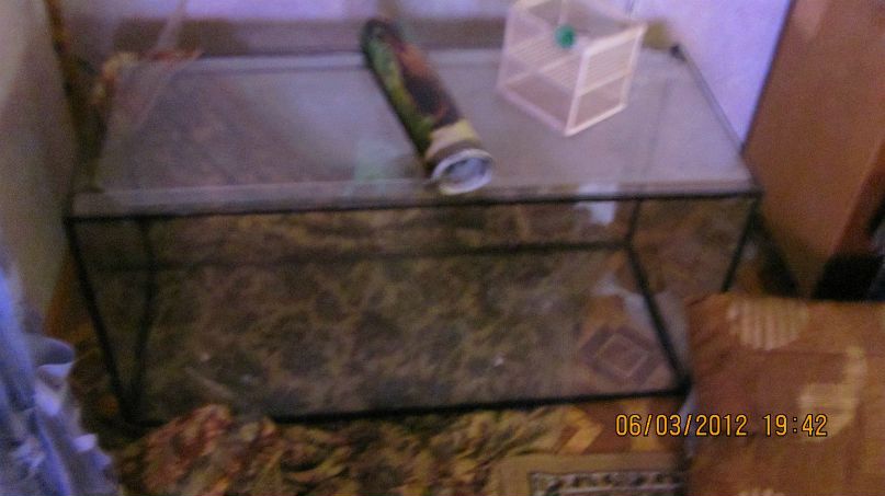 Perky Goth Child_of_the_darkness | Киев