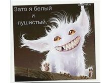 №16, Анастасия Милиенко №16, Анастасия Милиенко